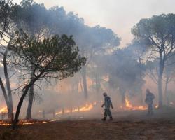 Des pompiers luttent contre le feu à Gonfaron (Var), le 17 août 2021. (NICOLAS TUCAT / AFP)