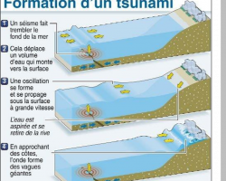 Schéma Tsunami_USGS.jpg.png