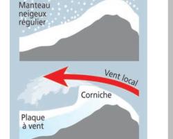 => Action du vent sur un manteau neigeux régulier et bien formé (source © MEDD / DPPR )