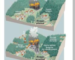 => Maîtrise ou non du risque feu de forêt dans les interfaces habitat / forêt (source © MEDD / DPPR)