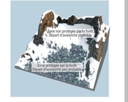 => Influence de la forêt dans le déclenchement ou non d’une avalanche (source © MEDD / DPPR )