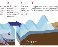 Schéma de principe : formation d’un tsunami « source © le Cartographe »