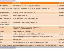 Signification des classes de matière dangereuses (source  © MEDD / DPPR)