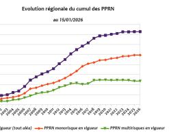 Evolution régionale du cumul des PPRN