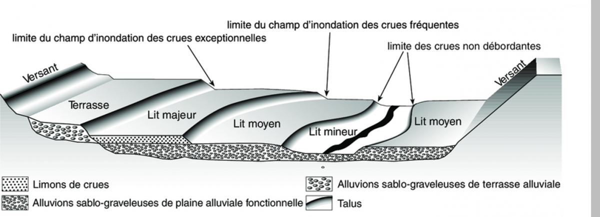 Relations topographiques entre les composantes d'une plaine alluviale fonctionnelle (Esposito et al., 2007, adapté d’après Ballais et al., 2005)