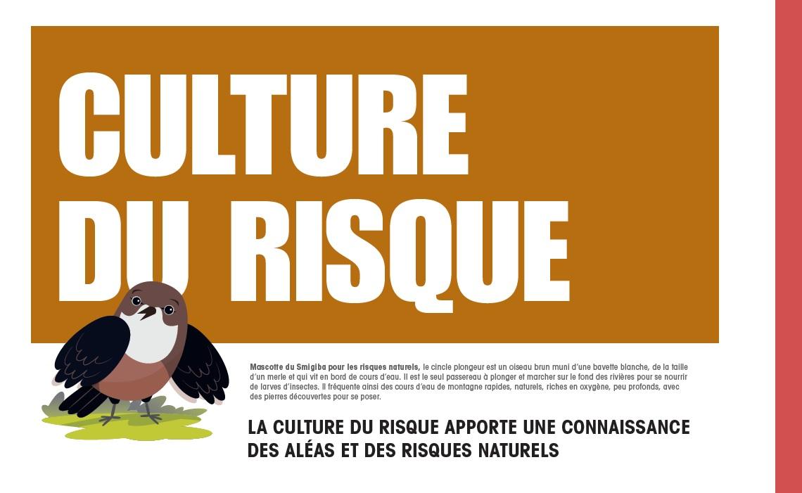 Affiche culture du risque SMIGIBA