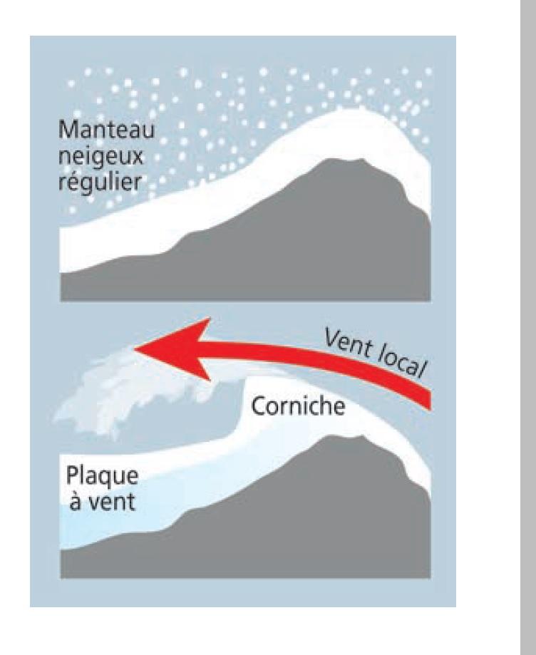 => Action du vent sur un manteau neigeux régulier et bien formé (source © MEDD / DPPR )