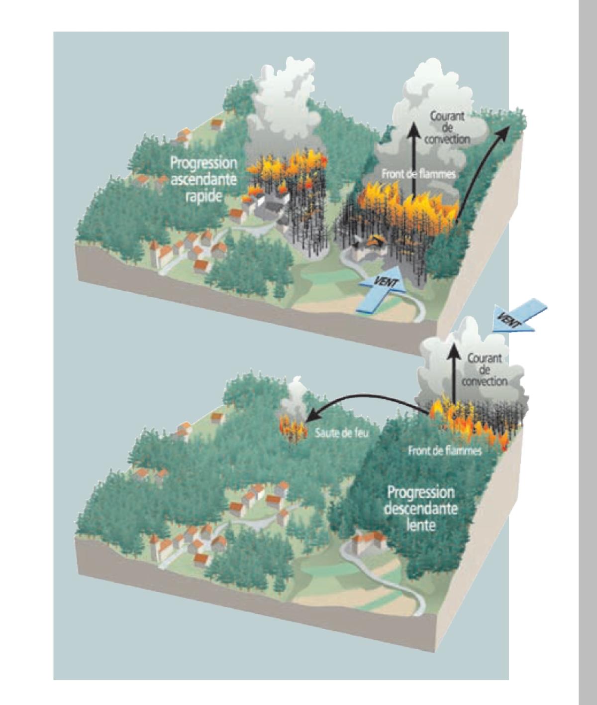 => Exemples de propagation d’un feu de forêt – source © MEDD / DPPR 