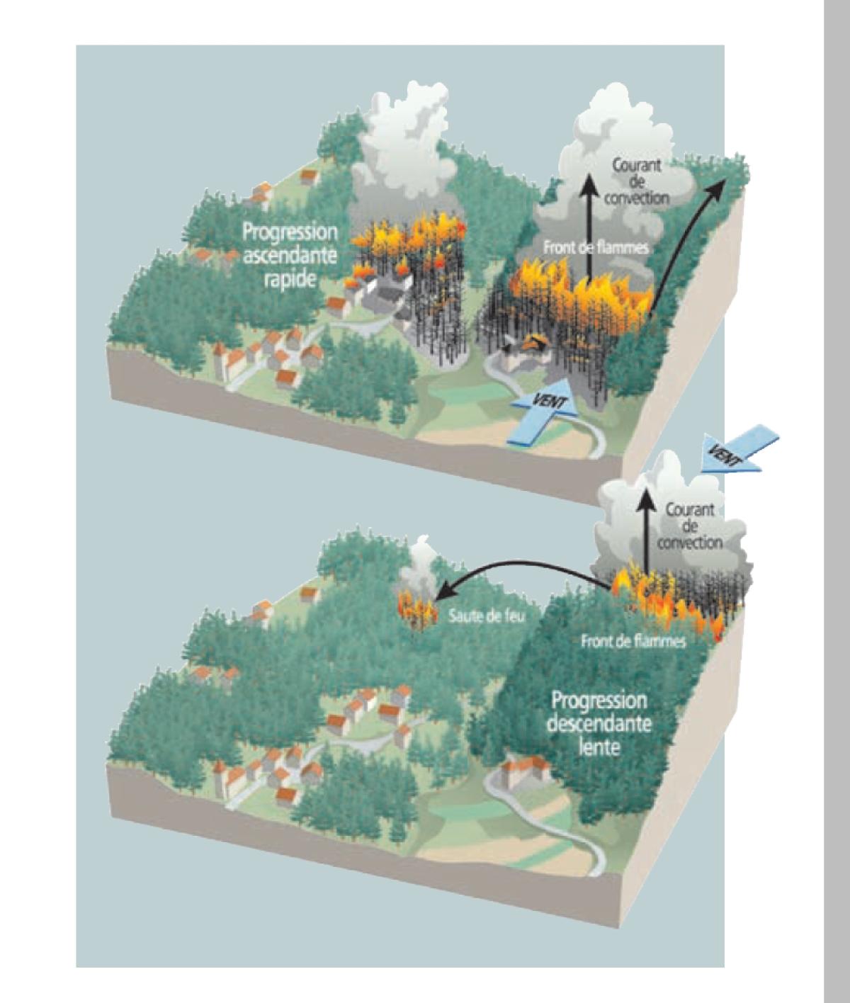 => Exemples de propagation d’un feu de forêt – source © MEDD / DPPR