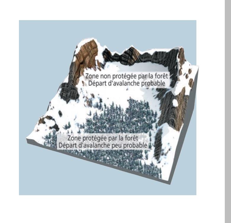 => Influence de la forêt dans le déclenchement ou non d’une avalanche (source © MEDD / DPPR )