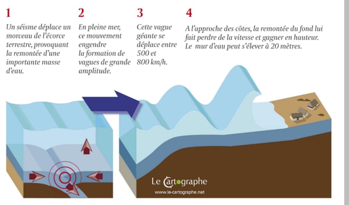  Schéma de principe : formation d’un tsunami « source © le Cartographe »