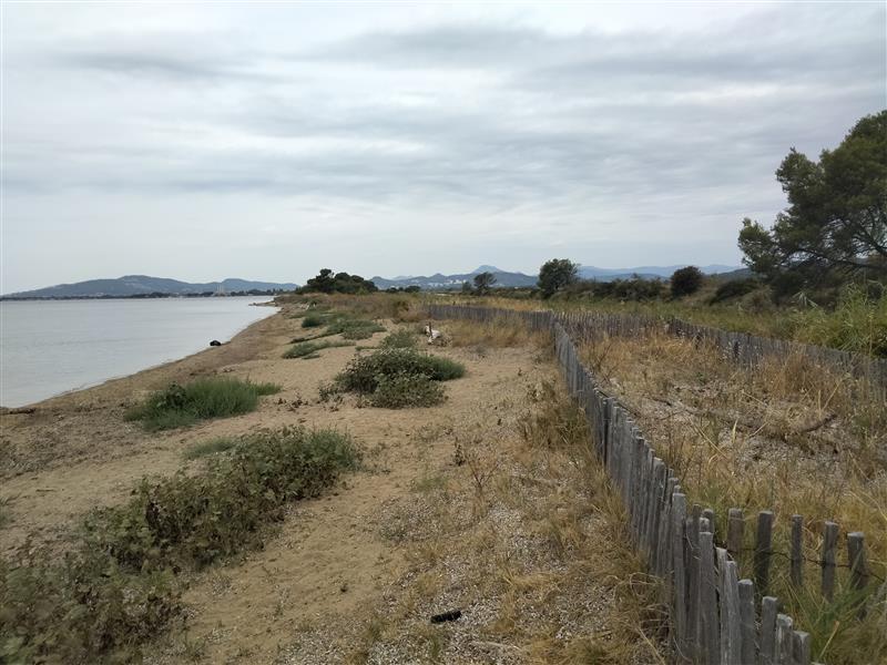 Portion de plage en dynamique engraissement aux Vieux-Salins (Hyères, 2025) © BRGM