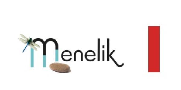 Logo de Menelik porteur du PAPI d'Intention BV Arc