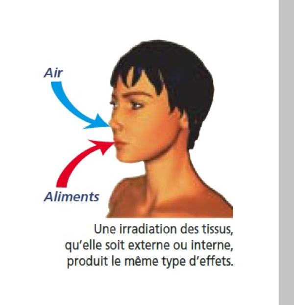 Schéma de l’irradiation interne (source © MEDD / DPPR)